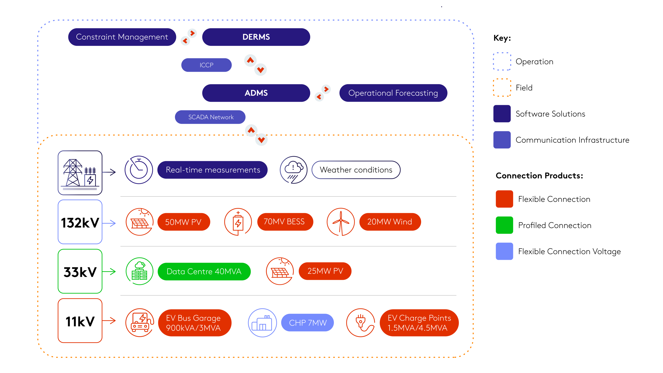 204_DSO_DERMS-Inforgraphic-scaled